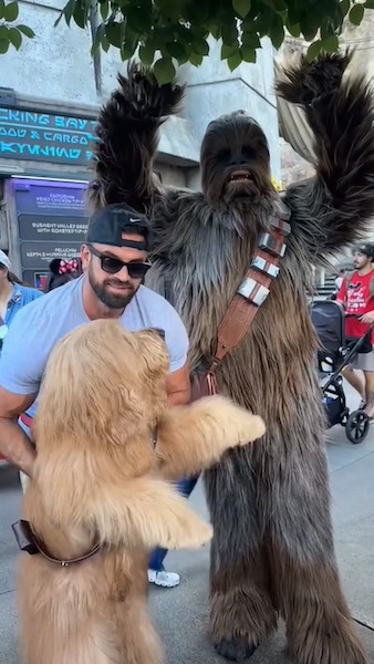 Ces 2 chiens rencontrent leurs heroes au parc Disney, leur reaction totalement inattendue