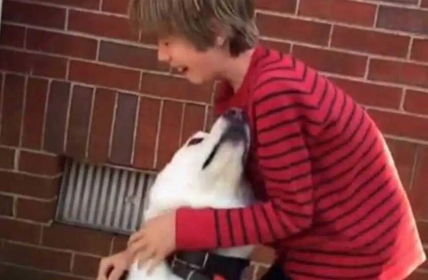 This boy reunites with his best friend one year later, he breaks down when he sees the dog